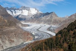 Aletschgletsjer vanuit Aletschwald