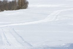 vreemde banen in de sneeuw