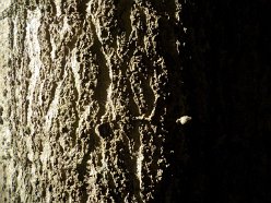 strijklicht