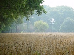 zomer in Plantloon