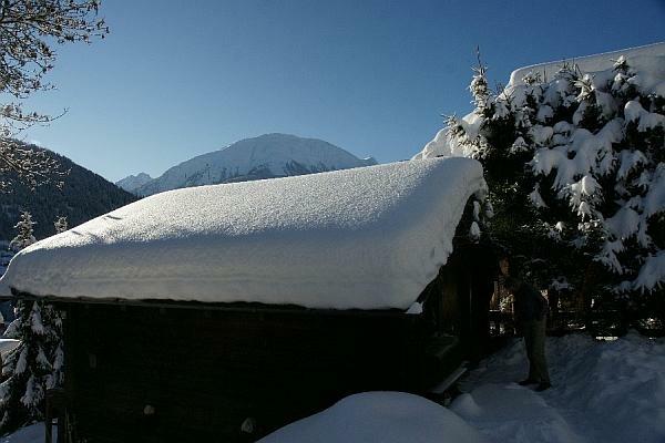 winter