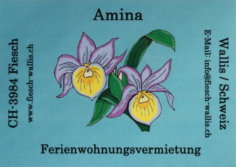 amina